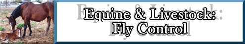 Fly and Insect Control and Air Fresheners